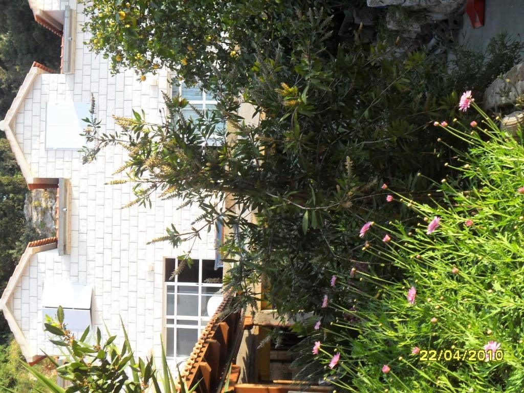 Apartmani Katarina Hvar Town Room photo
